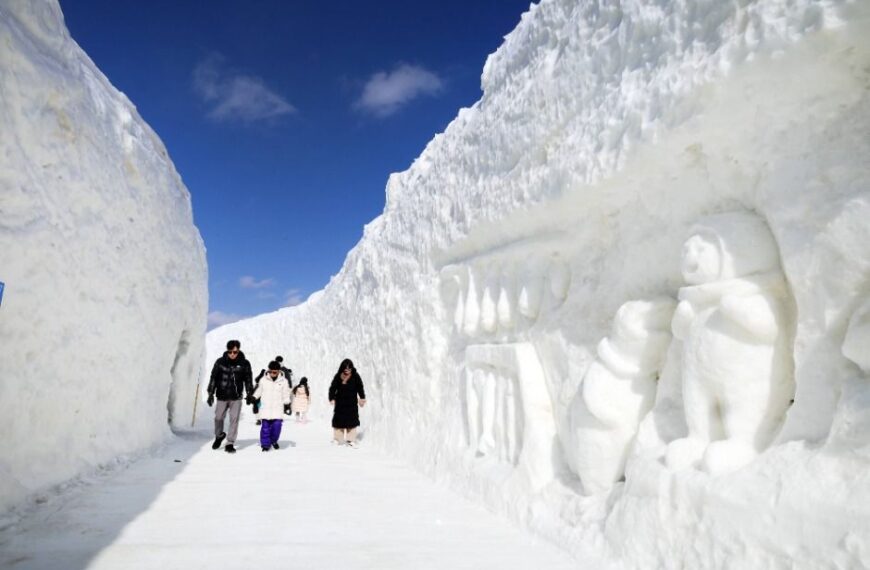 주한 대사관 외교 사절단 화천산천어축제 진수 만끽